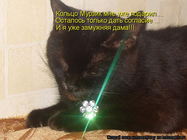 Кольцо Мурзик мне уже подарил.... Осталось только дать согласие ... И я уже замужняя дама!!!... Котоматрица: Кольцо Мурзик мне уже подарил.... Осталось только дать согласие ... И я уже замужняя дама!!!