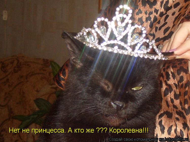 Нет не принцесса. А кто же ??? Королевна!!!... Котоматрица: Нет не принцесса. А кто же ??? Королевна!!!