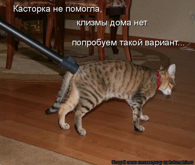 Касторка не помогла, клизмы дома нет попробуем такой вариант...... Котоматрица: Касторка не помогла, клизмы дома нет попробуем такой вариант...