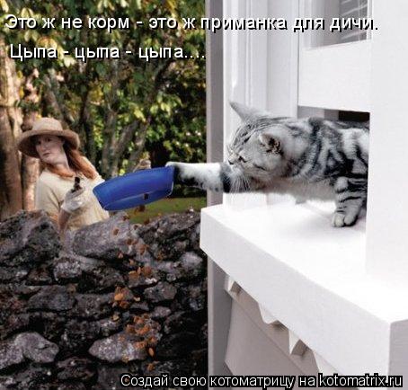 Это ж не корм - это ж приманка для дичи. Цыпа - цыпа - цыпа....... Котоматрица: Это ж не корм - это ж приманка для дичи. Цыпа - цыпа - цыпа....