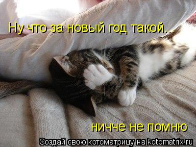 Ну что за новый год такой... ничче не помню... Котоматрица: Ну что за новый год такой... ничче не помню