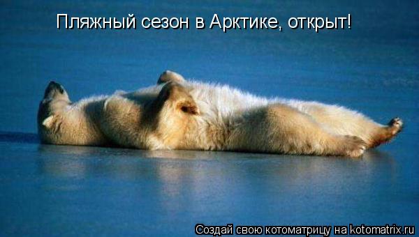Пляжный сезон в Арктике, открыт!... Котоматрица: Пляжный сезон в Арктике, открыт!