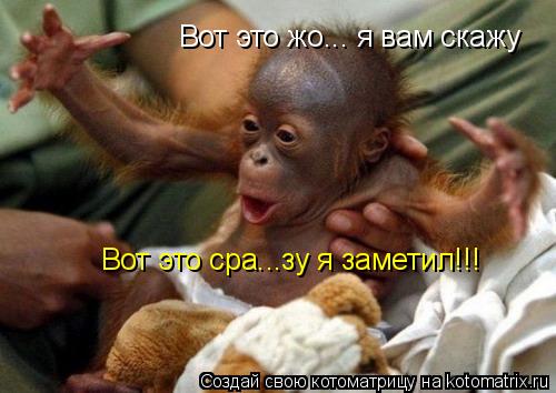 Вот это жо... я вам скажу Вот это сра...зу я заметил!!!... Котоматрица: Вот это жо... я вам скажу Вот это сра...зу я заметил!!!