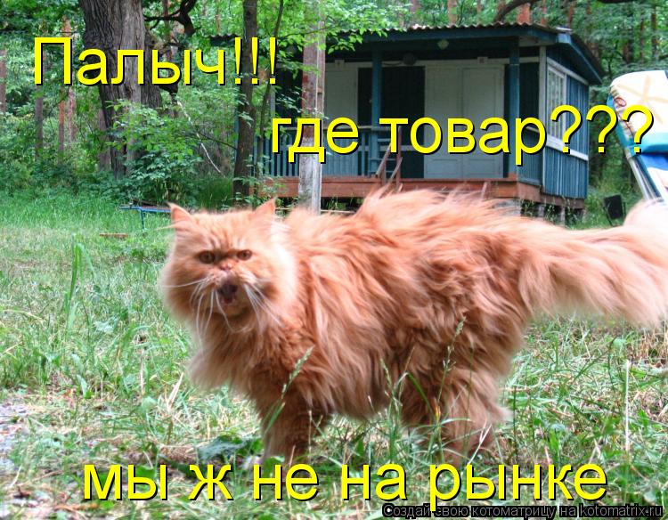 Палыч!!! где товар??? мы ж не на рынке... Котоматрица: Палыч!!! где товар??? мы ж не на рынке