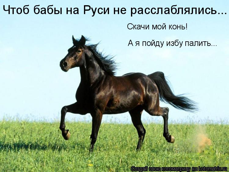 Котоматрица: Чтоб бабы на Руси не расслаблялись... А я пойду избу палить... Скачи мой конь!
