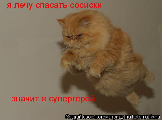 Котоматрица: я лечу спасать сосиски значит я супергерой