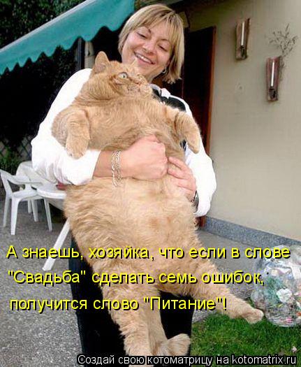 Котоматрица: А знаешь, хозяйка, что если в слове  "Свадьба" сделать семь ошибок,  получится слово "Питание"!