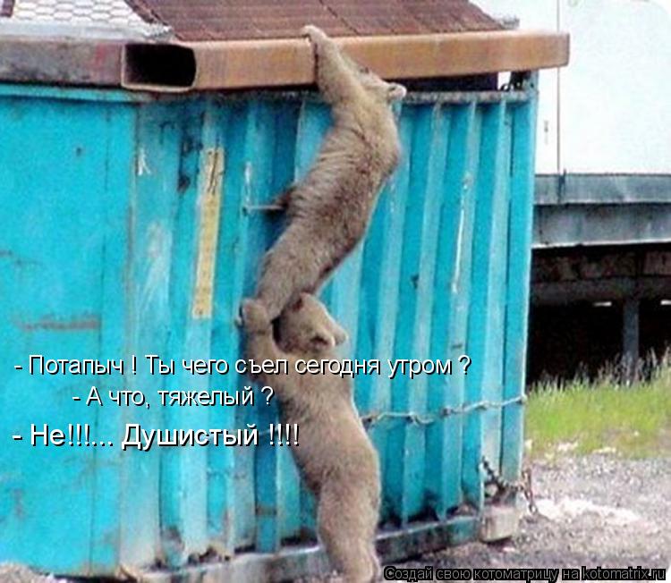 Котоматрица: - Потапыч ! Ты чего съел сегодня утром ? - А что, тяжелый ? - Не!!!... Душистый !!!!