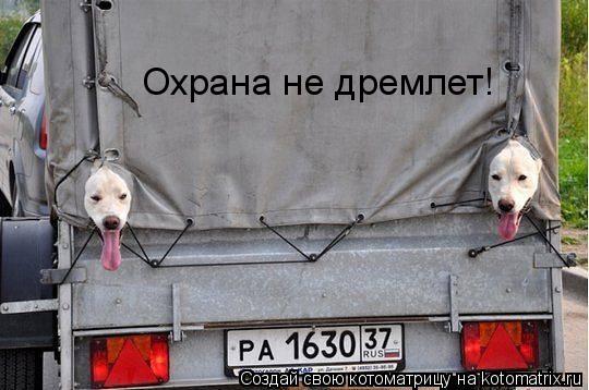 Охрана не дремлет!... Котоматрица: Охрана не дремлет!