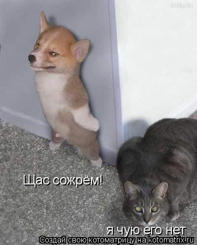 Щас сожрём! я чую его нет... Котоматрица: Щас сожрём! я чую его нет