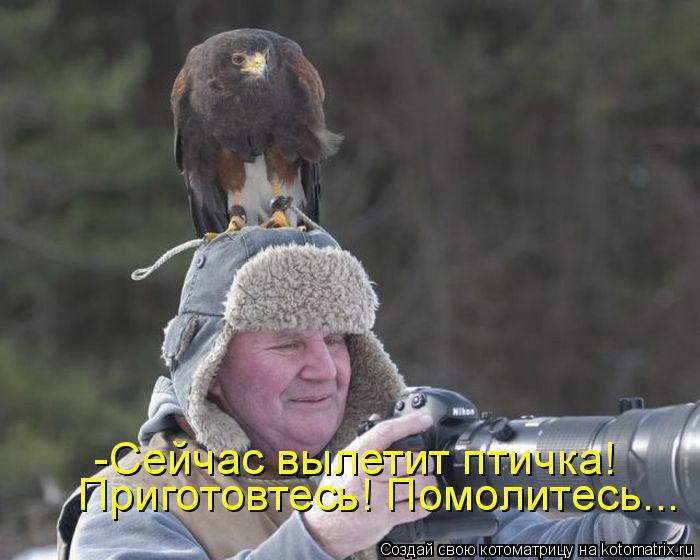 -Сейчас вылетит птичка! Приготовтесь! Помолитесь...... Котоматрица: -Сейчас вылетит птичка! Приготовтесь! Помолитесь...
