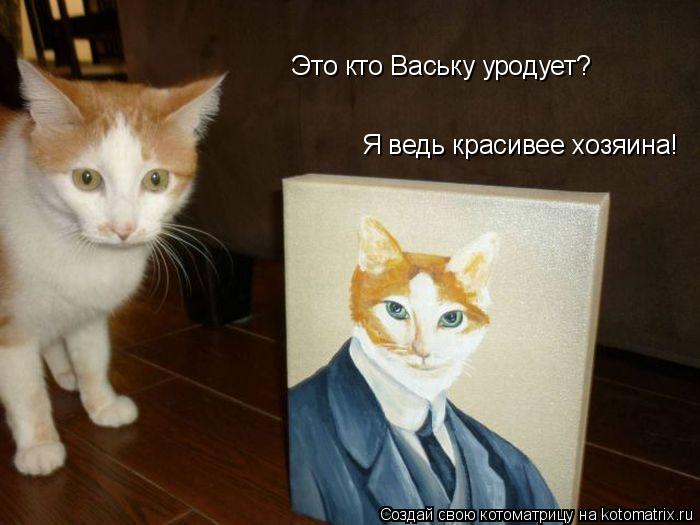 Это кто Ваську уродует? Я ведь красивее хозяина!... Котоматрица: Это кто Ваську уродует? Я ведь красивее хозяина!
