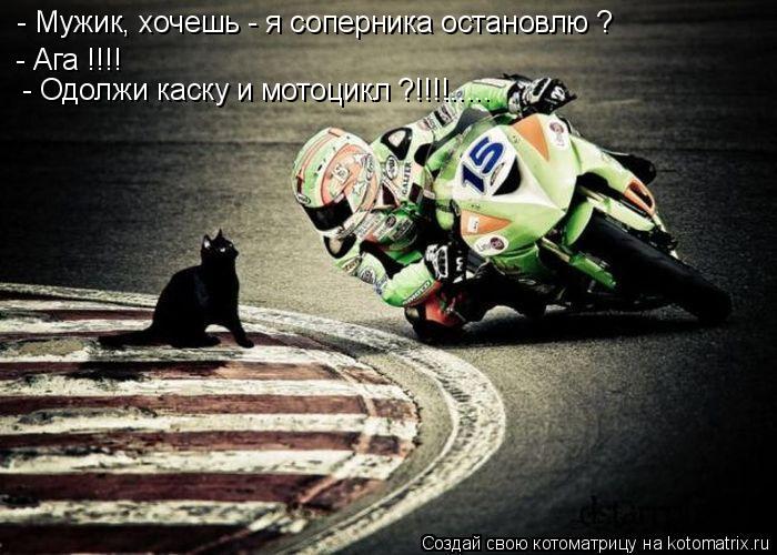 Котоматрица: - Мужик, хочешь - я соперника остановлю ? - Ага !!!! - Одолжи каску и мотоцикл ?!!!!.....