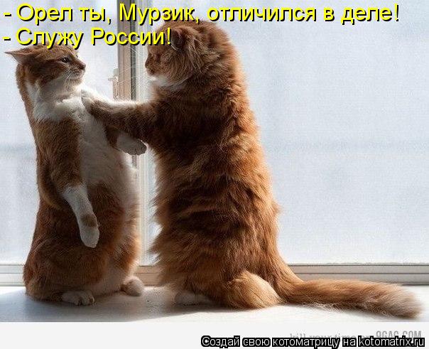 Котоматрица: - Орел ты, Мурзик, отличился в деле! - Служу России!