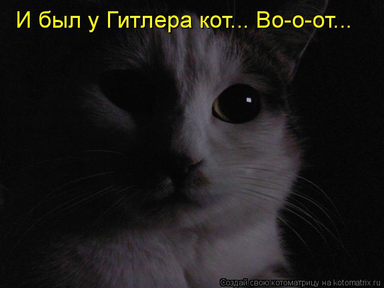Котоматрица: И был у Гитлера кот... Во-о-от...