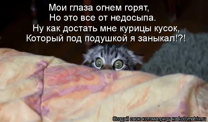 Мои глаза огнем горят, Но это все от недосыпа. Ну как достать мне курицы кусок, Который под подушкой ... Котоматрица: Мои глаза огнем горят, Но это все от недосыпа. Ну как достать мне курицы кусок, Который под подушкой я заныкал!?!