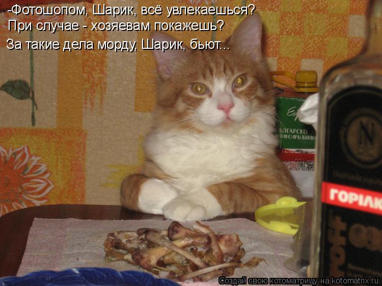 -Фотошопом, Шарик, всё увлекаешься? При случае - хозяевам покажешь? За такие дела морду, Шарик, бьют.... Котоматрица: -Фотошопом, Шарик, всё увлекаешься? При случае - хозяевам покажешь? За такие дела морду, Шарик, бьют...