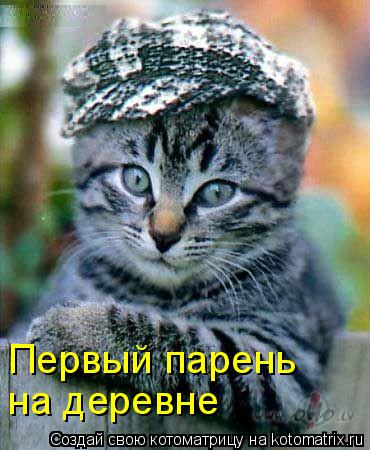 Первый парень на деревне... Котоматрица: Первый парень на деревне