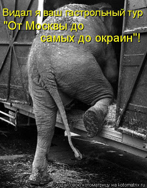 Видал я ваш гастрольный тур "От Москвы до самых до окраин"!... Котоматрица: Видал я ваш гастрольный тур "От Москвы до самых до окраин"!