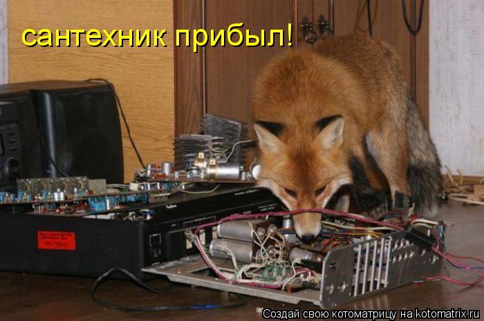сантехник прибыл!... Котоматрица: сантехник прибыл!