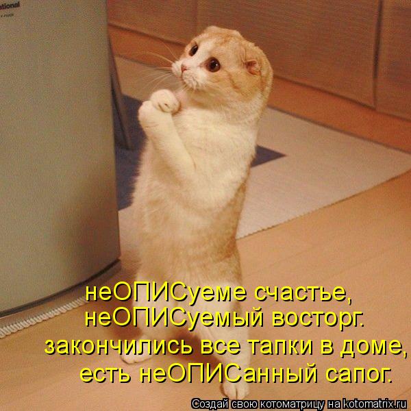 неОПИСуеме счастье, неОПИСуемый восторг. закончились все тапки в доме, есть неОПИСанный сапог.... Котоматрица: неОПИСуеме счастье, неОПИСуемый восторг. закончились все тапки в доме, есть неОПИСанный сапог.