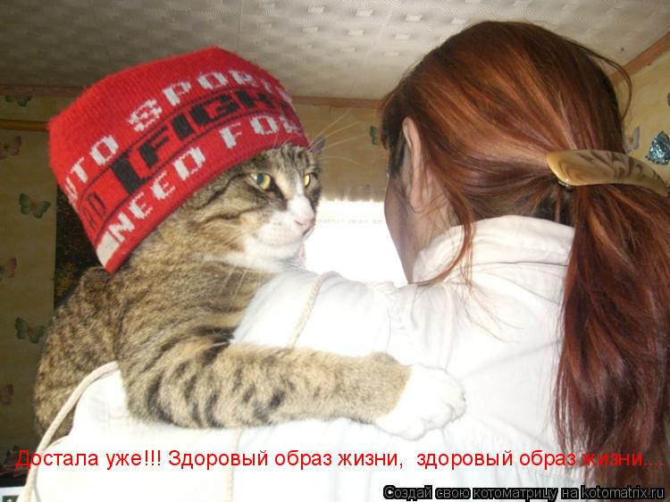Достала уже!!! Здоровый образ жизни, здоровый образ жизни....... Котоматрица: Достала уже!!! Здоровый образ жизни, здоровый образ жизни....