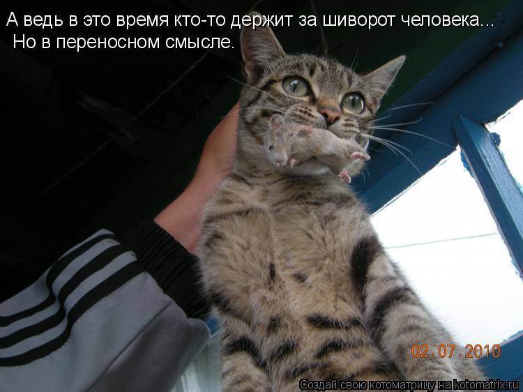 А ведь в это время кто-то держит за шиворот человека... Но в переносном смысле.... Котоматрица: А ведь в это время кто-то держит за шиворот человека... Но в переносном смысле.