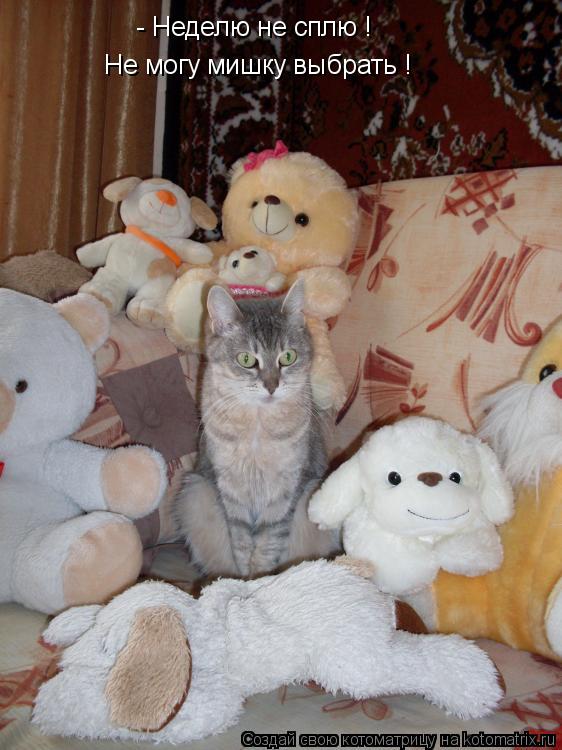 - Неделю не сплю ! Не могу мишку выбрать !... Котоматрица: - Неделю не сплю ! Не могу мишку выбрать !