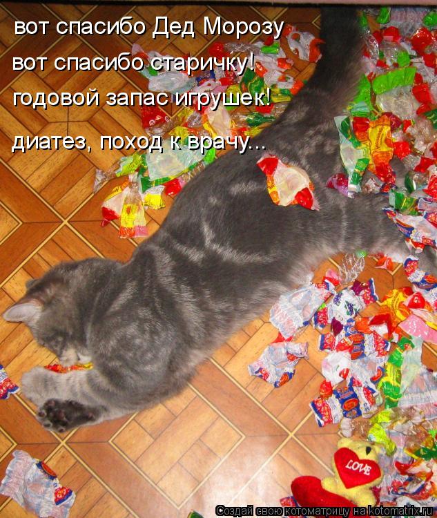вот спасибо Дед Морозу вот спасибо старичку! годовой запас игрушек! диатез, поход к врачу...... Котоматрица: вот спасибо Дед Морозу вот спасибо старичку! годовой запас игрушек! диатез, поход к врачу...