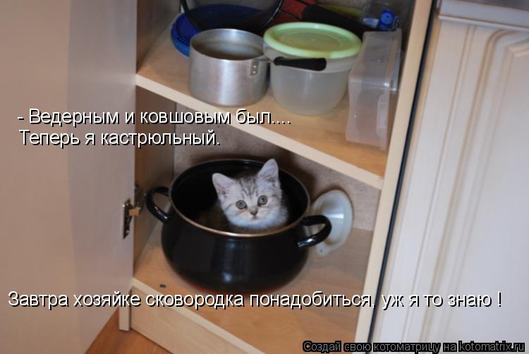 - Ведерным и ковшовым был.... Теперь я кастрюльный. Завтра хозяйке сковородка понадобиться, уж я то ... Котоматрица: - Ведерным и ковшовым был.... Теперь я кастрюльный. Завтра хозяйке сковородка понадобиться, уж я то знаю !
