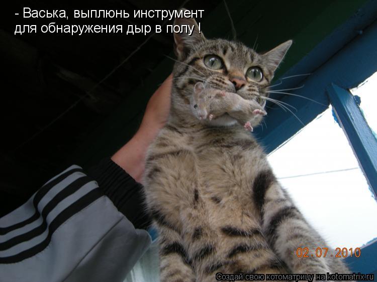 - Васька, выплюнь инструмент для обнаружения дыр в полу !... Котоматрица: - Васька, выплюнь инструмент для обнаружения дыр в полу !