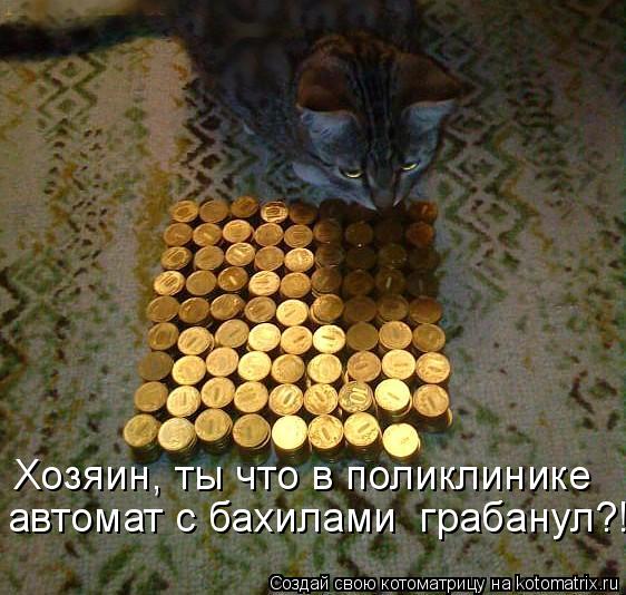 Хозяин, ты что в поликлинике автомат с бахилами грабанул?!... Котоматрица: Хозяин, ты что в поликлинике автомат с бахилами грабанул?!