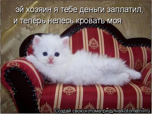 эй хозяин я тебе деньги заплатил, эй хозяин я тебе деньги заплатил, и теперь нелесь кровать моя... Котоматрица: эй хозяин я тебе деньги заплатил, эй хозяин я тебе деньги заплатил, и теперь нелесь кровать моя