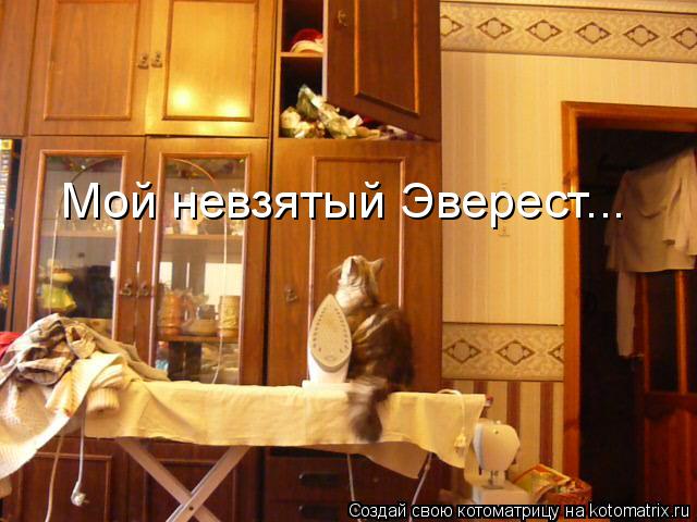 Мой невзятый Эверест...... Котоматрица: Мой невзятый Эверест...