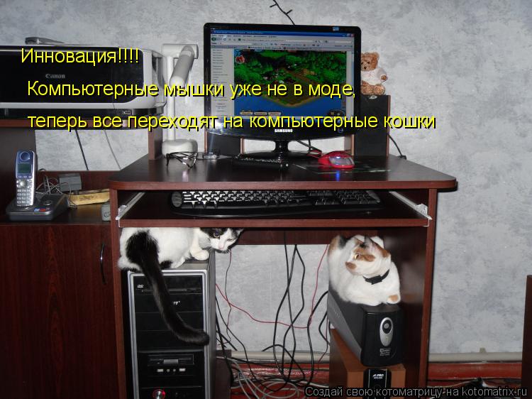 Инновация!!!! Компьютерные мышки уже не в моде, теперь все переходят на компьютерные кошки... Котоматрица: Инновация!!!! Компьютерные мышки уже не в моде, теперь все переходят на компьютерные кошки