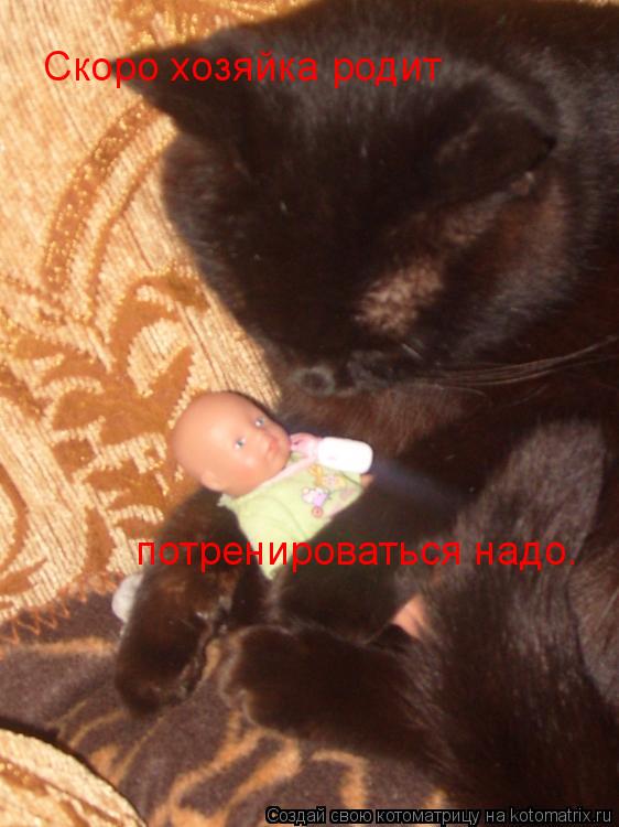 Скоро хозяйка родит потренироваться надо.... Котоматрица: Скоро хозяйка родит потренироваться надо.