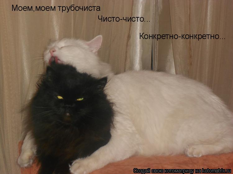 Моем,моем трубочиста Чисто-чисто... Конкретно-конкретно...... Котоматрица: Моем,моем трубочиста Чисто-чисто... Конкретно-конкретно...