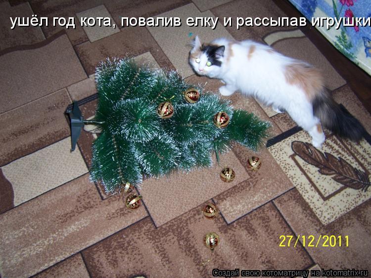 Котоматрица: ушёл год кота, повалив елку и рассыпав игрушки