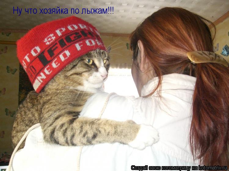 Ну что хозяйка по лыжам!!!... Котоматрица: Ну что хозяйка по лыжам!!!