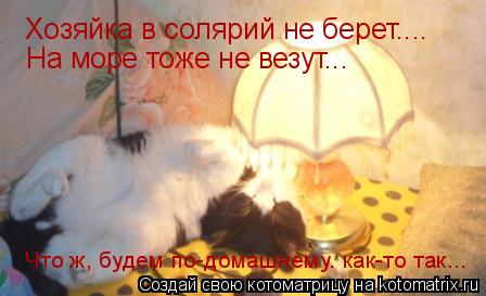 Хозяйка в солярий не берет.... На море тоже не везут... Что ж, будем по-домашнему. как-то так...... Котоматрица: Хозяйка в солярий не берет.... На море тоже не везут... Что ж, будем по-домашнему. как-то так...