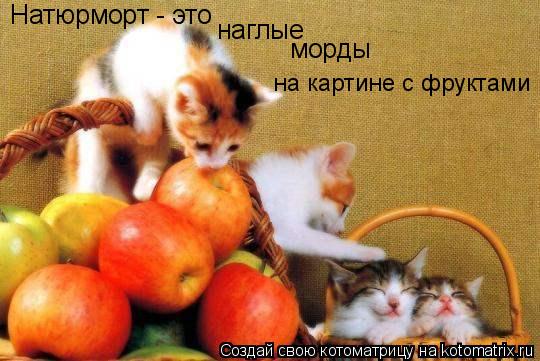 Натюрморт - это наглые морды на картине с фруктами... Котоматрица: Натюрморт - это наглые морды на картине с фруктами