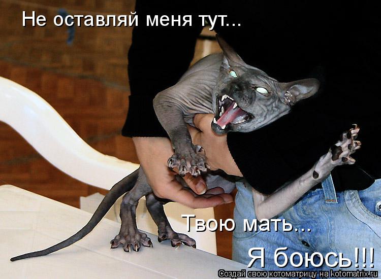 Не оставляй меня тут... Твою мать... Я боюсь!!!... Котоматрица: Не оставляй меня тут... Твою мать... Я боюсь!!!