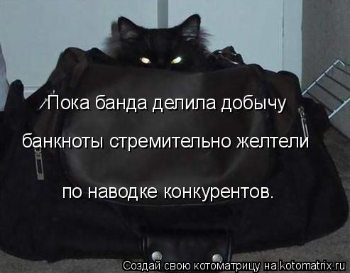 Пока банда делила добычу банкноты стремительно желтели по наводке конкурентов.... Котоматрица: Пока банда делила добычу банкноты стремительно желтели по наводке конкурентов.
