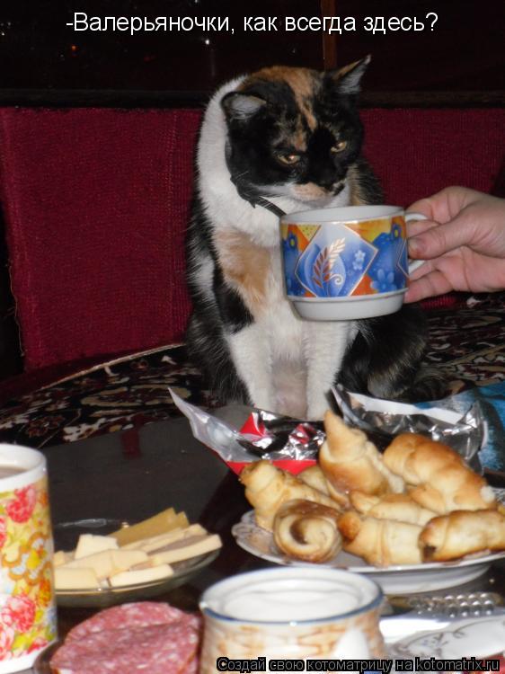 -Валерьяночки, как всегда здесь?... Котоматрица: -Валерьяночки, как всегда здесь?