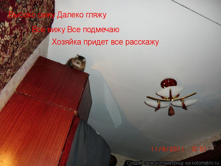 Высоко сижу Далеко гляжу Все вижу Все подмечаю Хозяйка придет все расскажу... Котоматрица: Высоко сижу Далеко гляжу Все вижу Все подмечаю Хозяйка придет все расскажу
