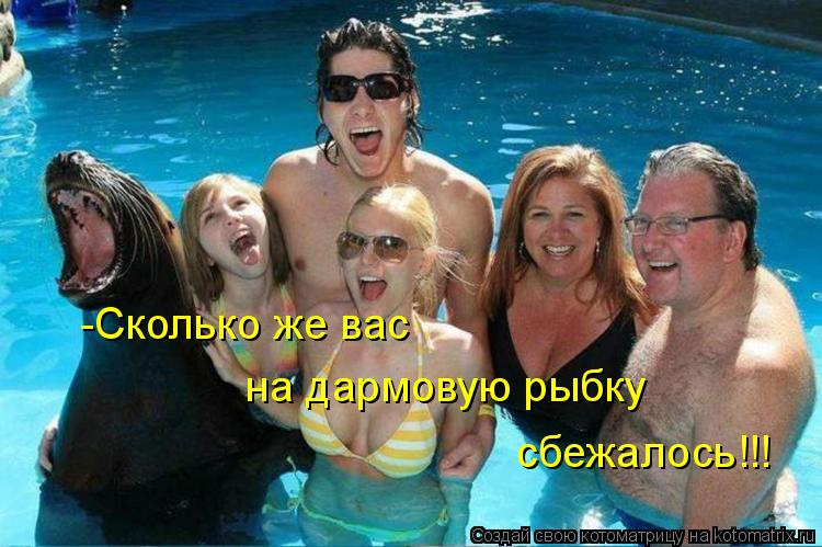 -Cколько же вас на дармовую рыбку сбежалось!!!... Котоматрица: -Cколько же вас на дармовую рыбку сбежалось!!!