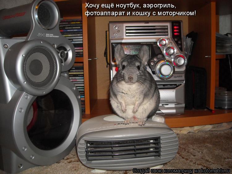 Хочу ещё ноутбук, аэрогриль, фотоаппарат и кошку с моторчиком!... Котоматрица: Хочу ещё ноутбук, аэрогриль, фотоаппарат и кошку с моторчиком!