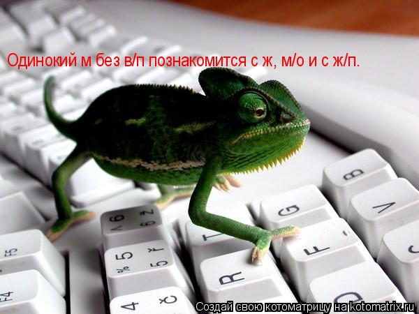 Одинокий м без в/п познакомится с ж, м/о и с ж/п.... Котоматрица: Одинокий м без в/п познакомится с ж, м/о и с ж/п.
