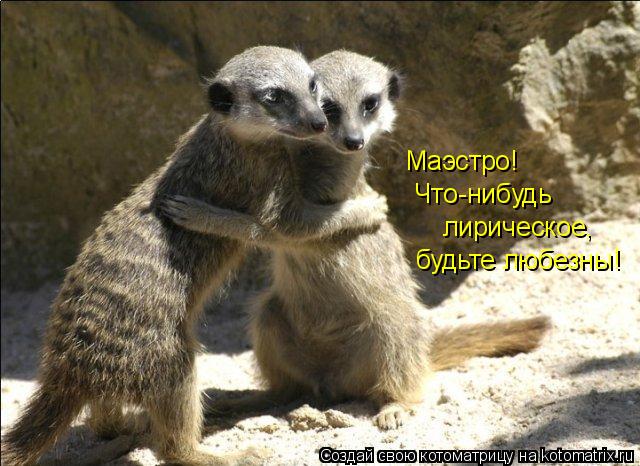 Котоматрица: Маэстро!  Что-нибудь лирическое, будьте любезны!