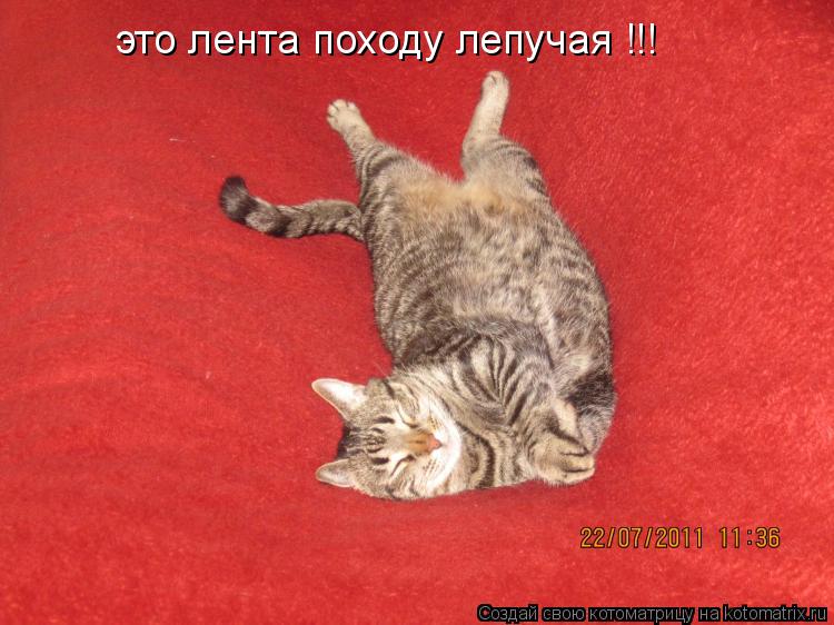 Котоматрица: это лента походу лепучая !!!